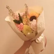 ttの画像