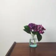 さおの画像