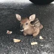 まるもりの画像