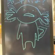 ねこの画像