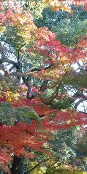 HIDENの画像