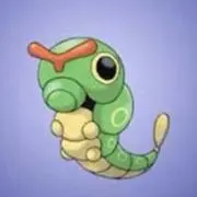 キャタピー大好きっ子