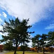 ドナの画像
