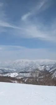 みちの画像