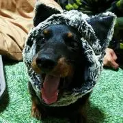 ☆amyの画像