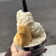 유の画像
