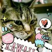 ちょ