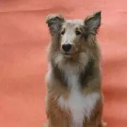 ★きさじふ☆