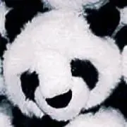 めめめ。