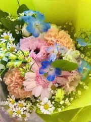 ねーの画像