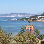 sssの画像