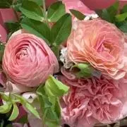 あいみの画像