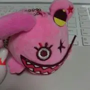 葵の画像