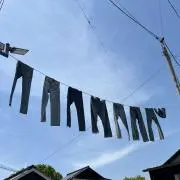 どっこいしょの画像