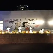 HAL36の画像