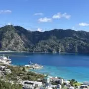 Bamboo28の画像