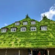 みーたの画像