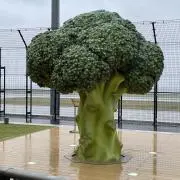 だならの画像