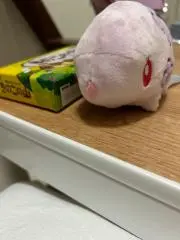 みかん大好きの画像