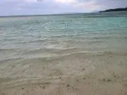 なつ