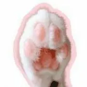 あっちょの画像