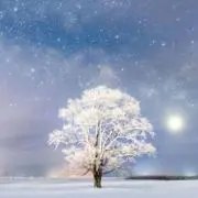 ❄︎.*kyabetsun ❄︎.*の画像