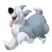 ＊りんご＊プロフ確認お願いします◡̈