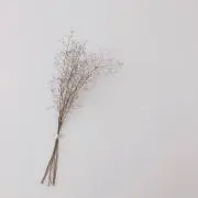 YUKARIN