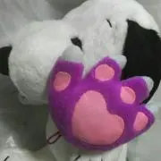 ゆみ∞の画像