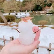Shellyの画像