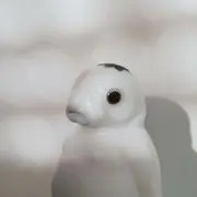ゾウガメの画像