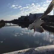 ター坊