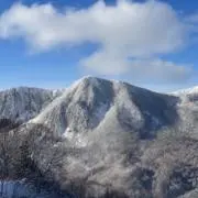 千葉涼太の画像