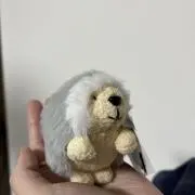 むーの画像