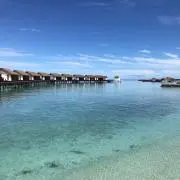 りこぴんの画像