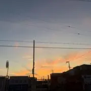さーの画像