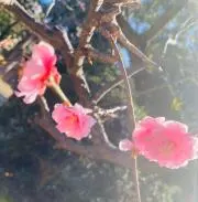 YAMA★の画像