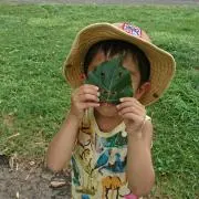 ことげん♪