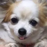 ミチル＠8/7~11 発送お休みの画像