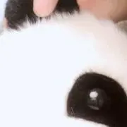 め