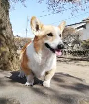 メアリーの画像