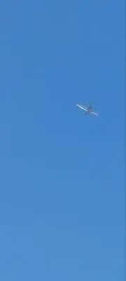 マリモ　即購入OKの画像