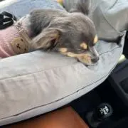 まぁの画像