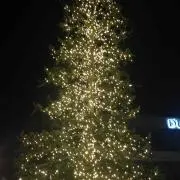 さとーん