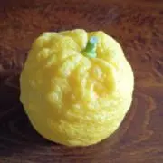yujin54の画像