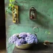 ミー