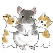 あちむ✖︎아침　プロフ確認願います！の画像