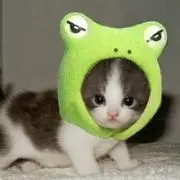THの画像