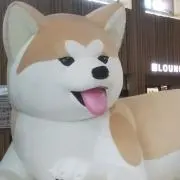こまくさの画像