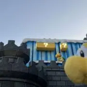 むーむーの画像